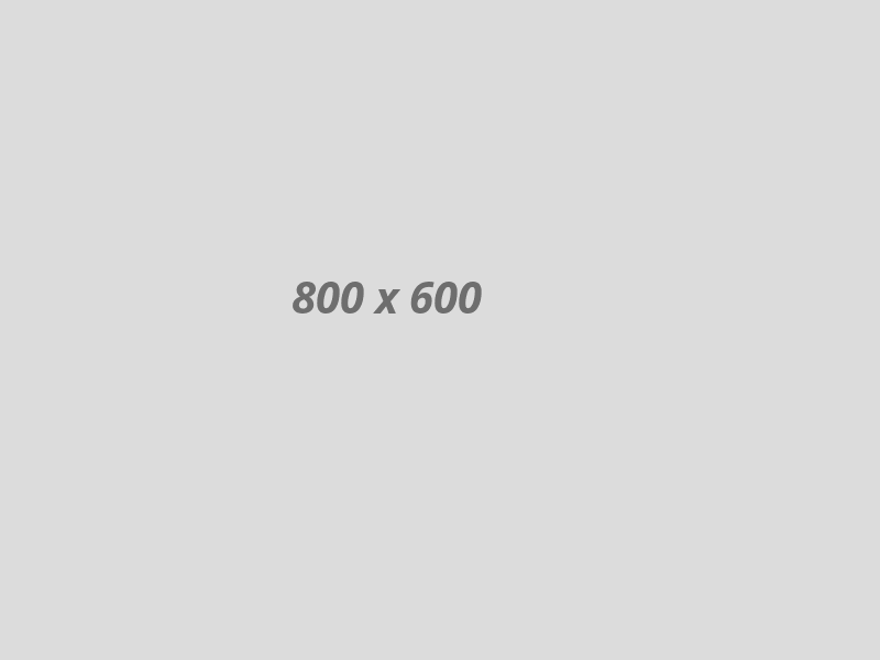 gallery04